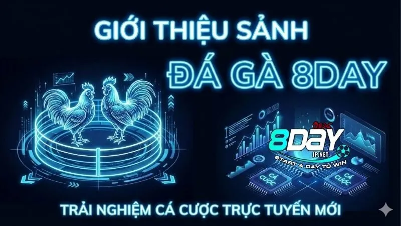 da-ga-8day-dau-truong-truc-tuyen-dinh-cao-va-soi-dong